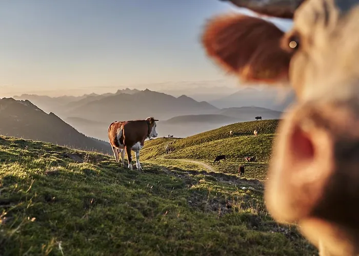 Apartamento Haus Sabine Leutasch