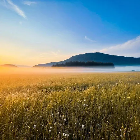 Haus Sabine 아파트 로이타쉬