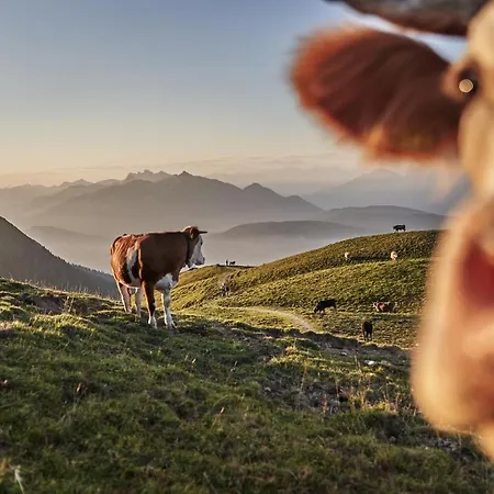 شقة Haus Sabine لوتاش